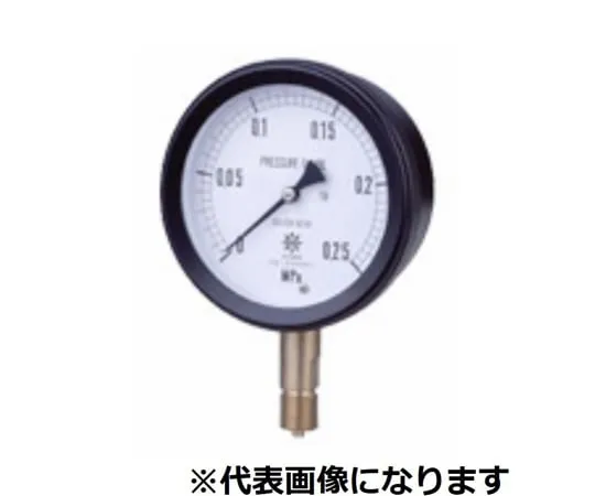 65-3635-16　MPP Plastic Sealed Pressure Gauge Core Section SUS A Type φ100 R1/2 0~0.06MPA　S-AUR12-1000.06MPA