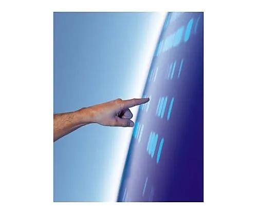 61-0314-44　Lichrocart(R) 250-4 Super Sphere 100 RP-18 HPLC Cartridge 116056 1ST　1.16056.0001