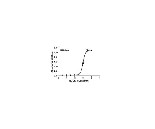 62-8480-91　Rho-associated Kinase (ROCK) Activity Assay (96-well); 96 assays　CSA001
