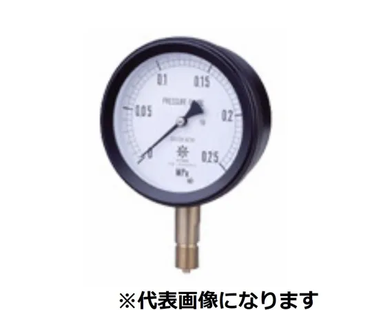 65-3634-31　MPP Plastic Sealed Pressure Gauge Core Section SUS A Type φ100 G1/2 0~0.06MPA　S-AU12-1000.06MPA