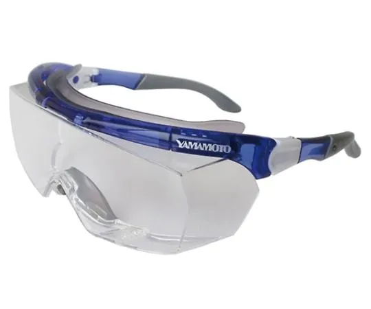 64-0830-23　Protective Glasses　TA961CL