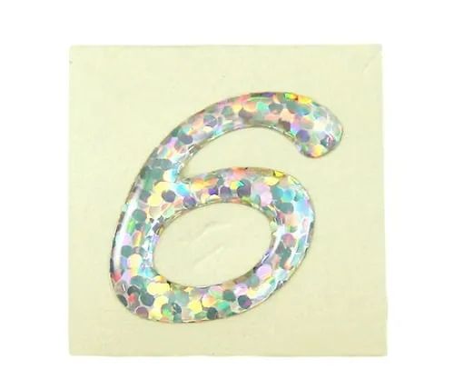 61-7443-95　Hologram Characters 6　FM20-6