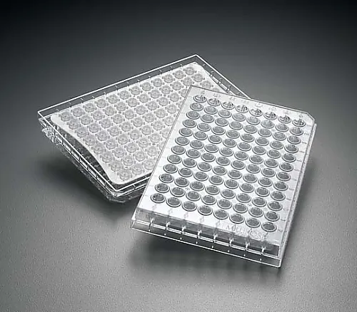 61-0204-39　Multiscreen HTS IP 0.45μm Clear Sterile 10/Pk 10PK　MSIPS4510