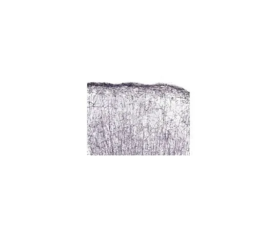 62-8491-35　Anti-Oligod***rocytes, clone NS-1; 100 μL　MAB1580