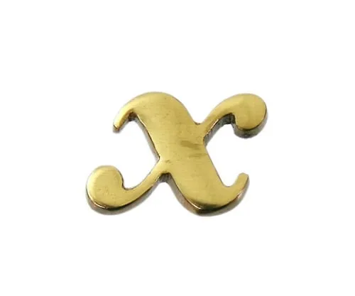 61-7431-01　Brass Gold Characters Small Characters X　QS20-X