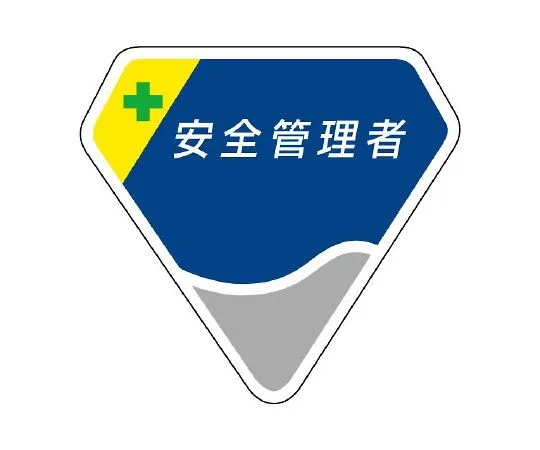 62-6109-87　chest health officer　849-03