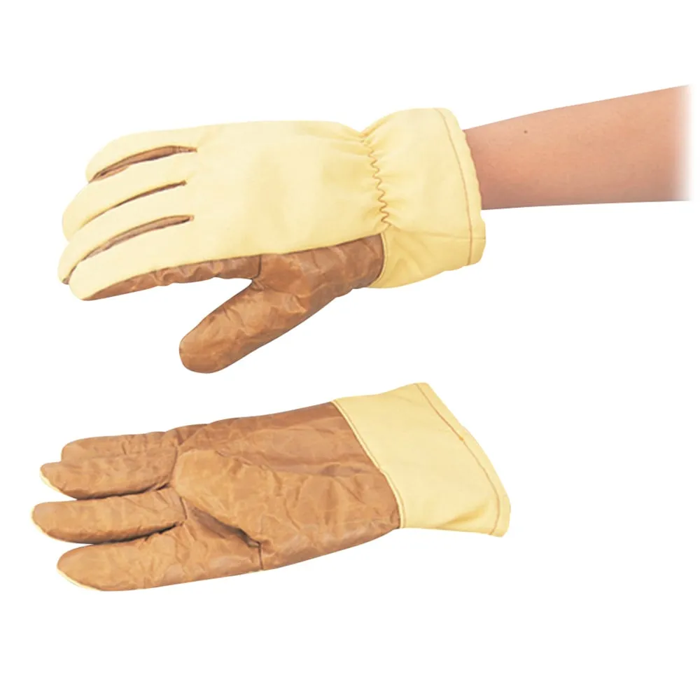 9-5621-01　Heat Resistant Glove For *** in Clean Rooms Zyloguard MZ650cP Clean Pack 250mm　MZ650-CP