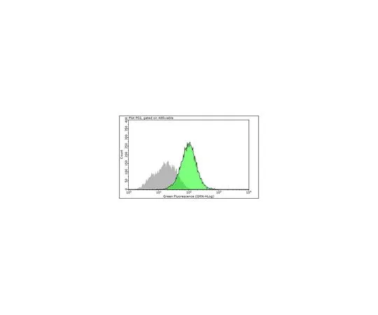62-8526-04　Anti-Integrin alpha5 (Preservative Free), clone SNAKA51　MABT201
