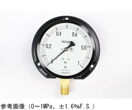 65-4289-03-20　Normal Pressure Gauge (Φ100) Vertical B Frame with 0.16 MPa Inspection Certificate　AE20-281