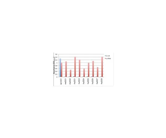 62-8526-31　Anti-CEACAM1 Antibody, clone 11-1H　MABT365