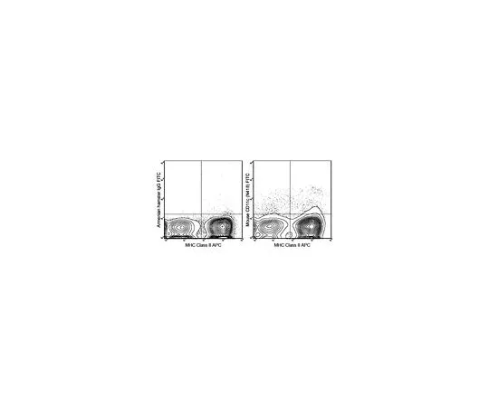 62-8510-24　Anti-CD11c (mo***), FITC, clone N418　MABF374