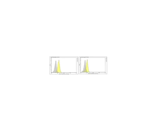 62-8513-08　Anti-IFNAR1 Antibody, clone 4G8　MABF939