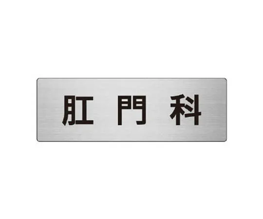 62-0347-81　［Discontinued］Flag Fasten Seat Belt　RS8105