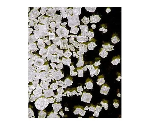 61-0300-15　Sodium Chloride for Analysis Emsure(TM) ACS, ISO, Reag. pH Eur 106404 500G　1.06404.0500