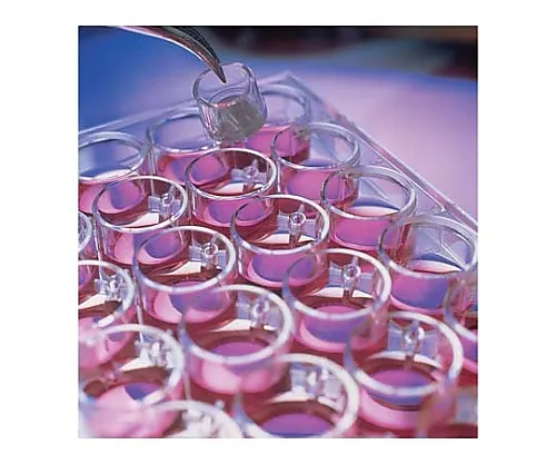 61-0205-23　Millicell Cell Culture Insert 12mm PCF 12μm 50/Pk 50PK　PIXP01250