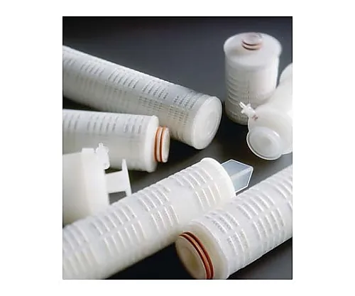 61-0219-91　Polysep II Cart Filt 30In. 1.0/0.2μm Code 0 3/Pk 3 x 1ST　CGW303S03