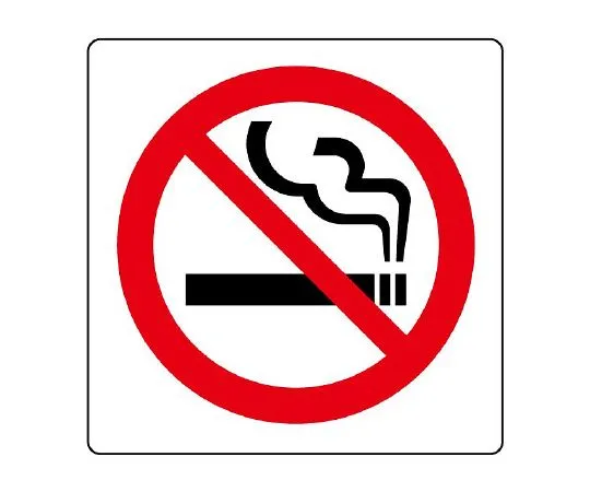 62-6142-98　Pictosign (for indoor guidance) Smoking area mark　839-02A