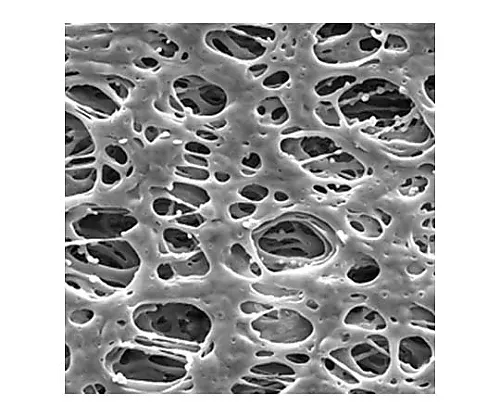 61-0202-11　Millipore Express PLUS Disc PES Philic 0.45μm 90mm 50/Pk 50PK　HPWP09050
