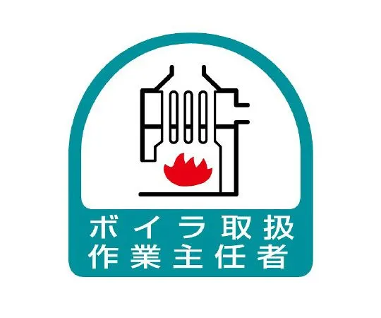 62-6145-47　Operations Chief of Helmet Sticker Boiler　851-25