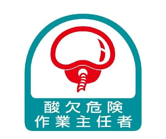 62-6109-97　Helmet Sticker, Operations Chief of X-Ray　851-32