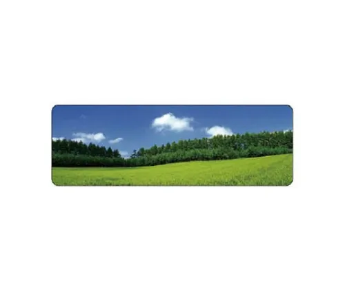 61-8137-07　［Discontinued］Armband Traffic Safety Committee/Univinyl Double Processing/85 x 400　31312