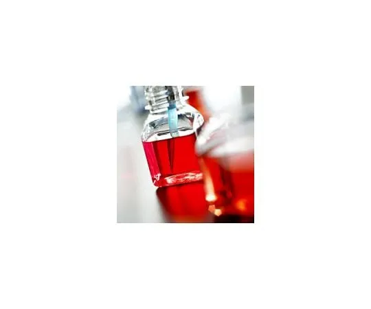 62-8487-44　GS System 100mM L-Methionine sulfoximine, working range 25μM to 1mM; 10 mL　GSS-1015-F