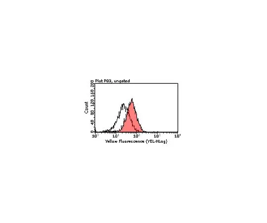62-8508-94　Anti-Tim3, clone 5D12; 100 μL　MABF73