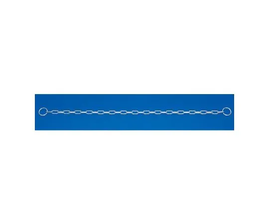 62-6112-29　Chain with Ring　860-50