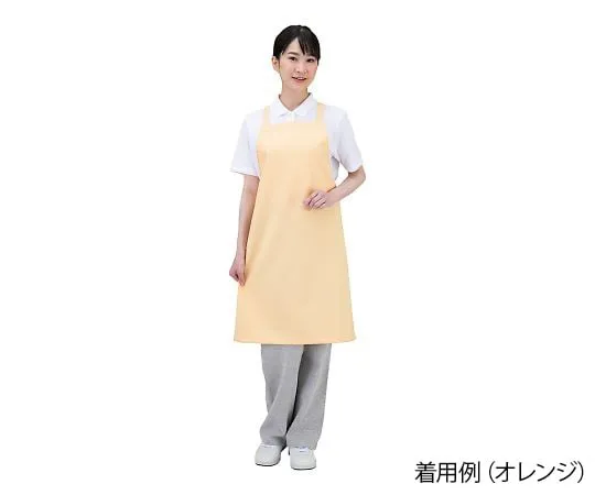 7-780-01　Antiviral apron Dr. EarthR cross over off-white　E3500-0T