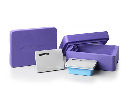 63-1537-01　CoolBox 2XT Purple　432025