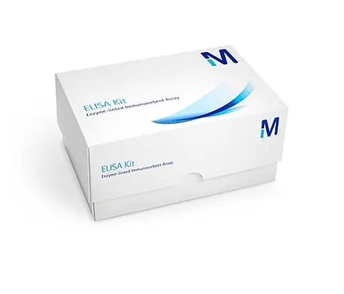 61-0284-40　Luminata Forte ELISA HRP Substrate; 100mL 100mL　ELLUF0100