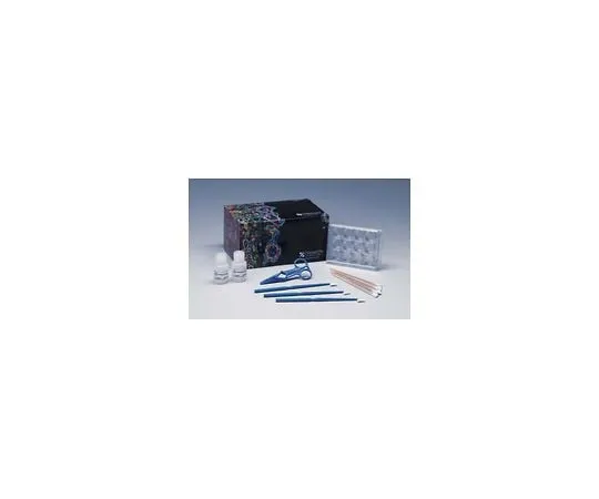 62-8482-16　Pseudopodia Purification Kit; 1 kit　ECM660