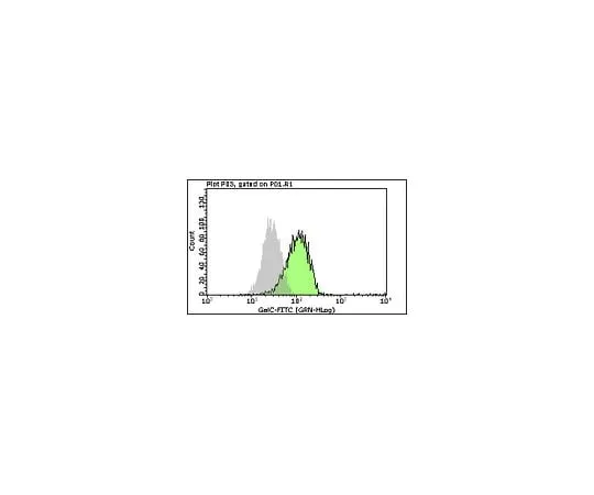 62-8485-06　Milli-Mark(TM) Anti-Galactocerebroside-FITC, clone mGalC; 100 tests　FCMAB312F