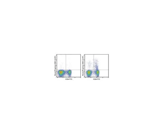 62-8514-37　Anti-mo*** IFN gamma, APC, clone XMG1.2 Antibody　MABF1516