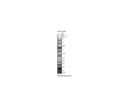 62-8401-84　Perfect DNA(TM) Markers, 0.05-10 kbp　70540-3