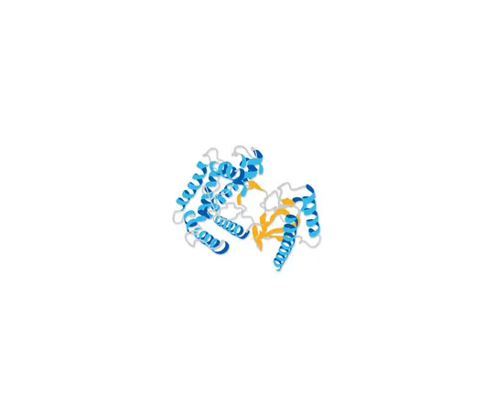 62-8370-13　Vasoactive Intestinal Peptide, Human, Porcine, and Rat　05-23-2101-0.5MG