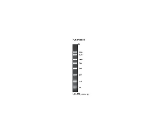 62-8400-41　PCR Markers, 50-2000 bp　69278-3
