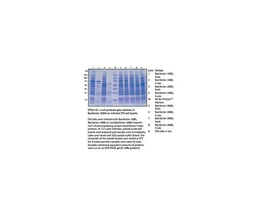 62-8401-37　BacPlaque(TM) Agarose　70034-3