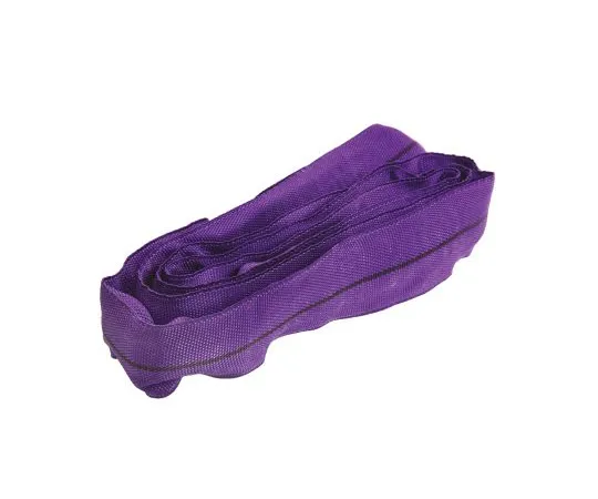63-5029-30　RS Pro 2m Purple Lifting Sling Round, 1t　729-3048