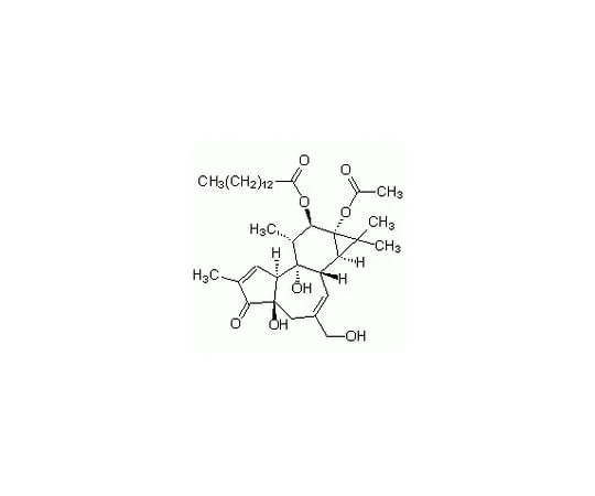 62-8433-03　Phorbol-12-myristate-13-acetate　524400-5MG