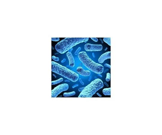 62-8401-73　HMS174 Competent Cell Set　70234-3