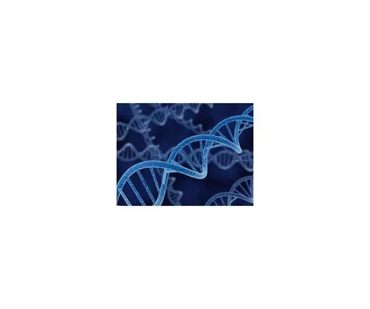 62-8401-14　pET-28a(+) DNA　69864-3