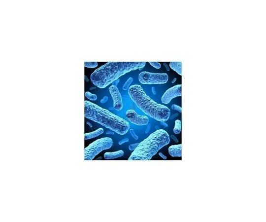 62-8400-65　HMS174(DE3)pLysS Competent Cells　69454-3