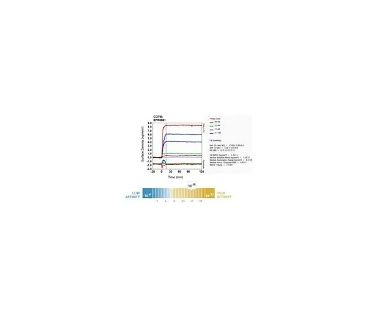 62-8512-53　［Discontinued］Anti-CD79b, clone EPR6861, Rabbit Monoclonal　MABF755