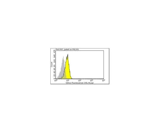 62-8509-10　［Discontinued］Anti-CD3 gamma delta (HMT3-2), clone Ham25-1157; 100 μg　MABF116