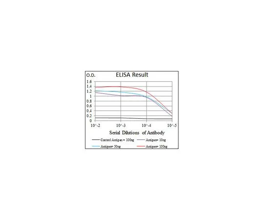 62-8522-47　［Discontinued］Anti-SLC27A5, clone 4B11C10　MABS418