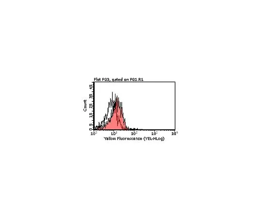 62-8525-29　［Discontinued］Anti-ICAM-2/CD102 (mo***), clone mIC2/4 (3C4); 100 μL　MABT46