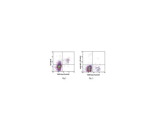 62-8509-98　［Discontinued］Anti-LAP (TGF-β1) (mo***), PE, clone TW7-16B4　MABF346