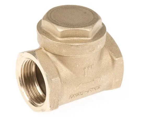63-6671-15　RS PRO Brass Single Non Return Valve 1 in BSPP　486-205