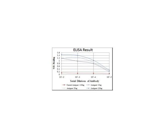 62-8502-94　［Discontinued］Anti-RBP4, clone 4C2　MABC707